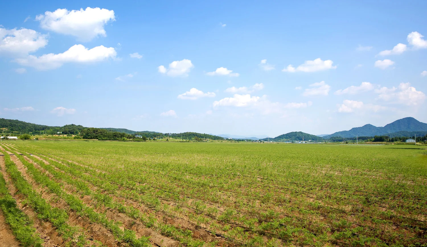 Organic processing facility