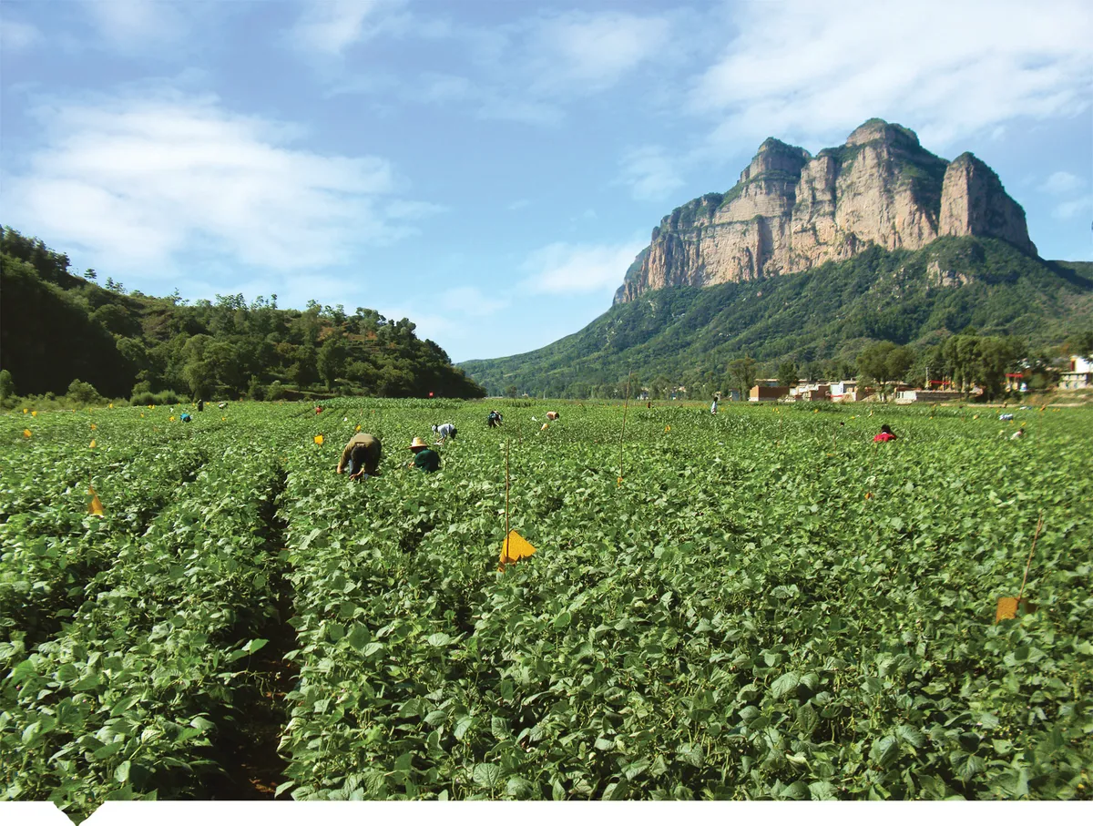 MaQuShui Farm