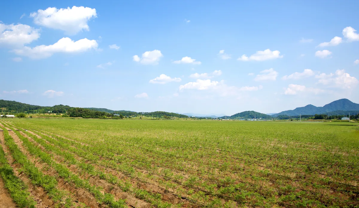 Yongbei Forest Farm