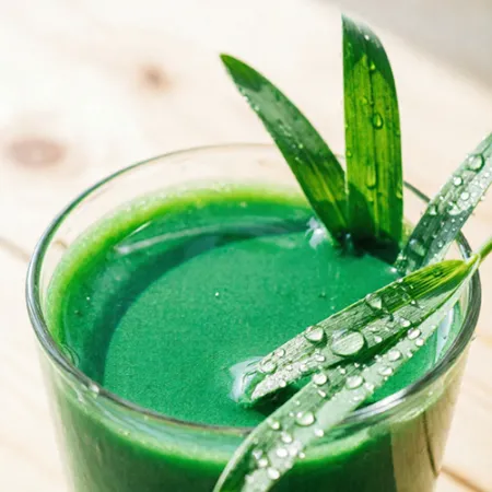 Organic Barley Grass Powder: Bridging the Gap from "Superfood" to Industrial Standard