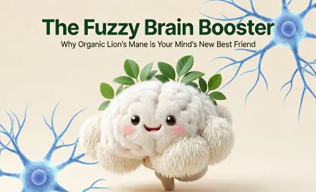 The Fuzzy Brain Booster: Why Organic Lion’s Mane is Your Mind’s New Best Friend