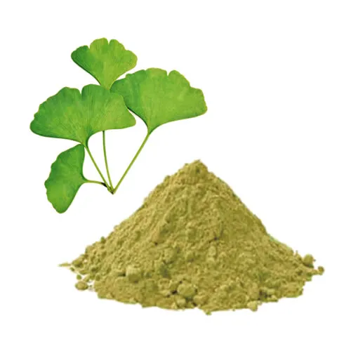 Organic Ginkgo Leaf Powder