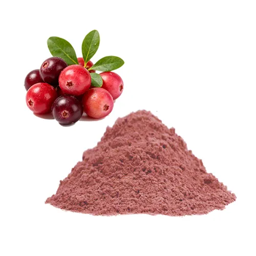 Organic Cranberry Juice Powder