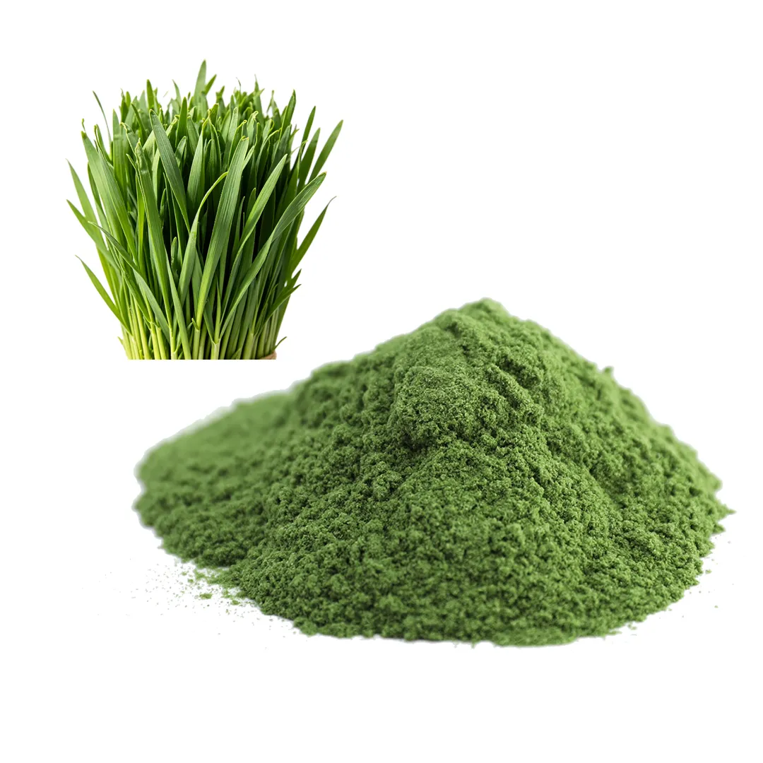Organic Wheat Grass Powder