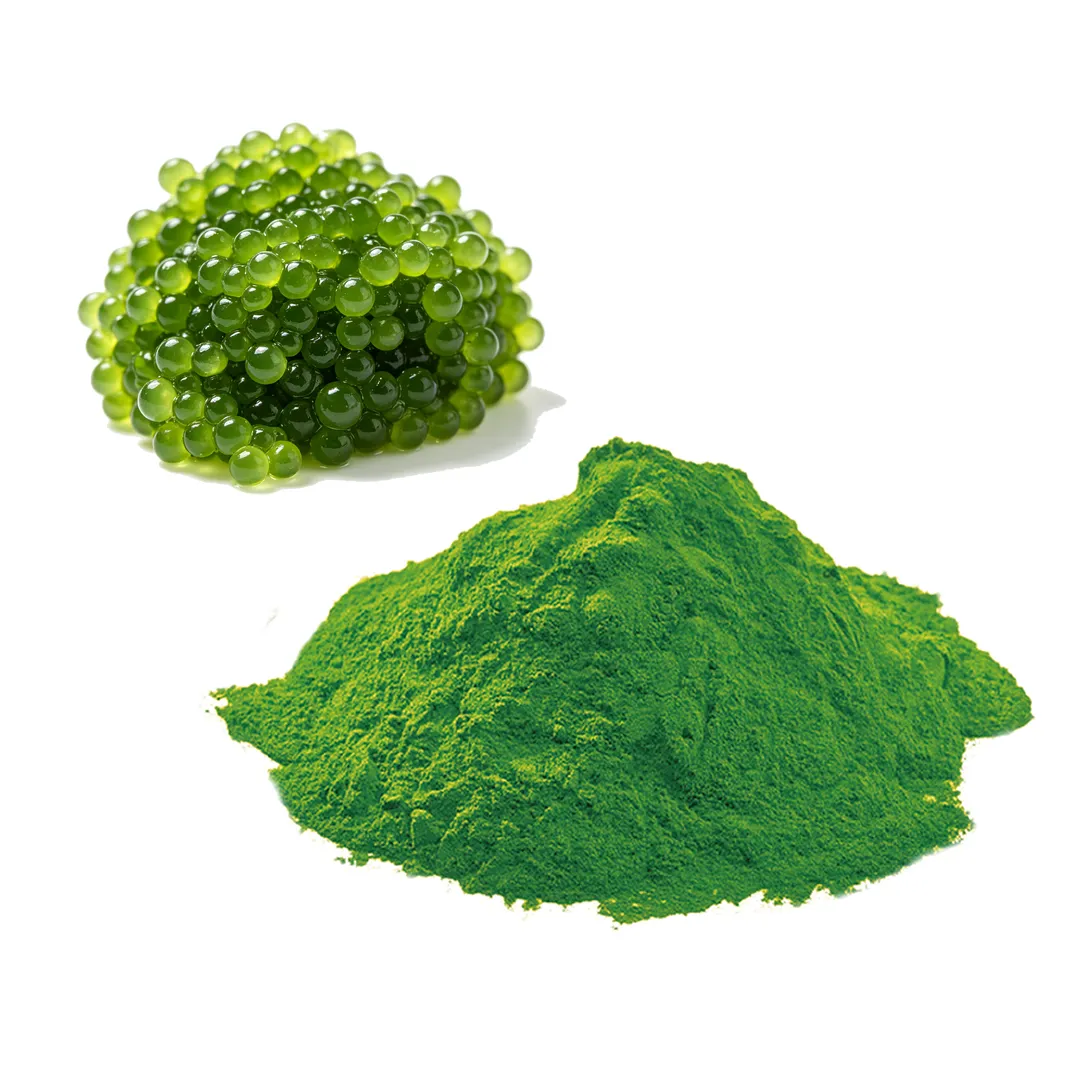 Organic Chlorella Powder