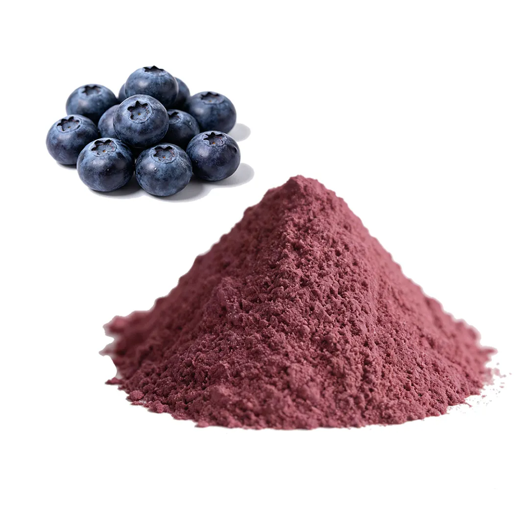 Organic Blueberry Juice Powder