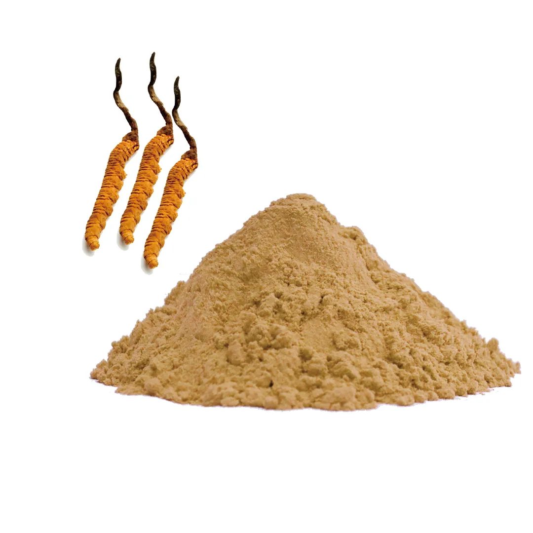 Organic Cordyceps Militaris Powder