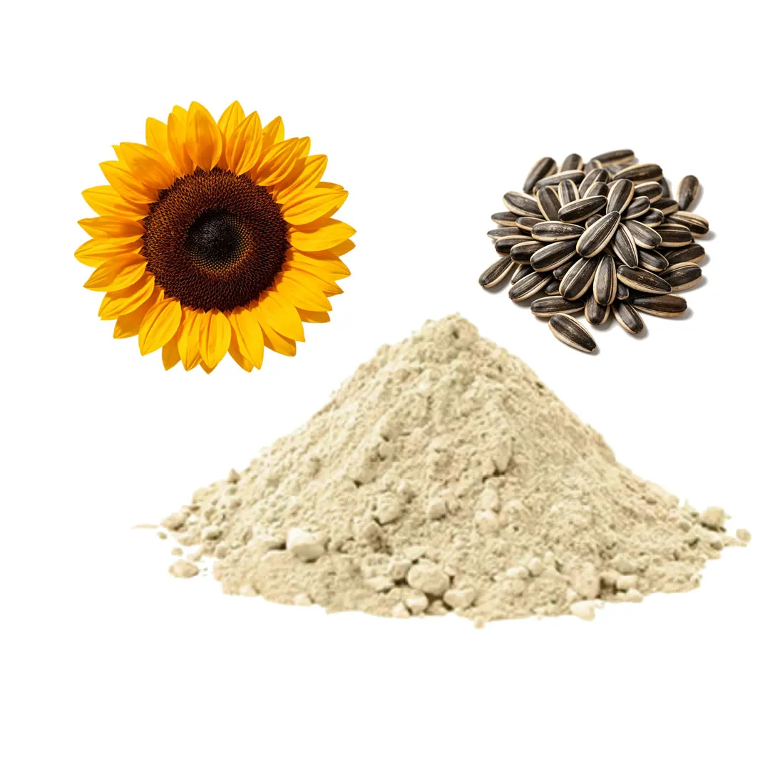 Organic Sunflower Seeds Protein Powder