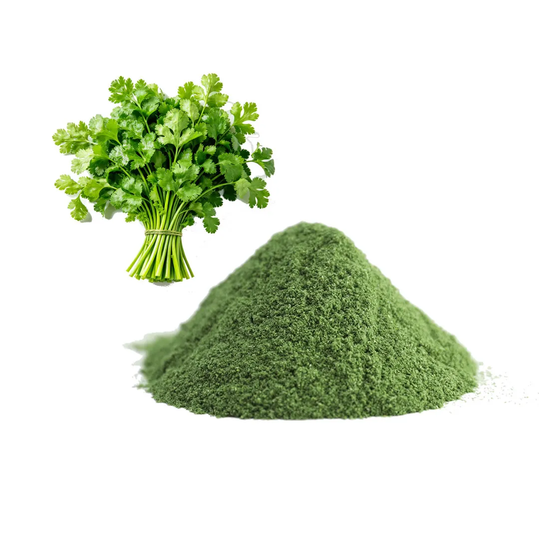 Conventional Coriander Powder