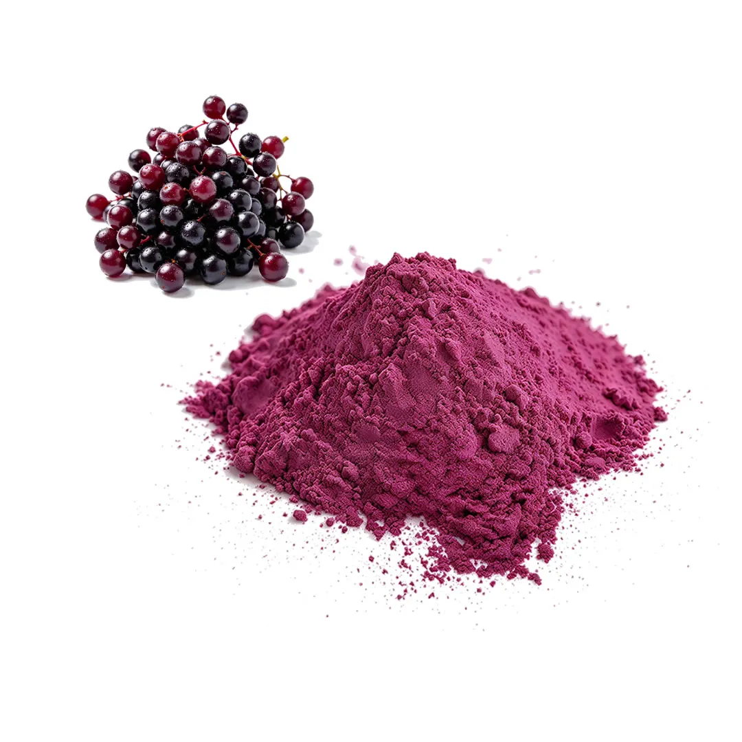 Organic Elderberry Juice Powder