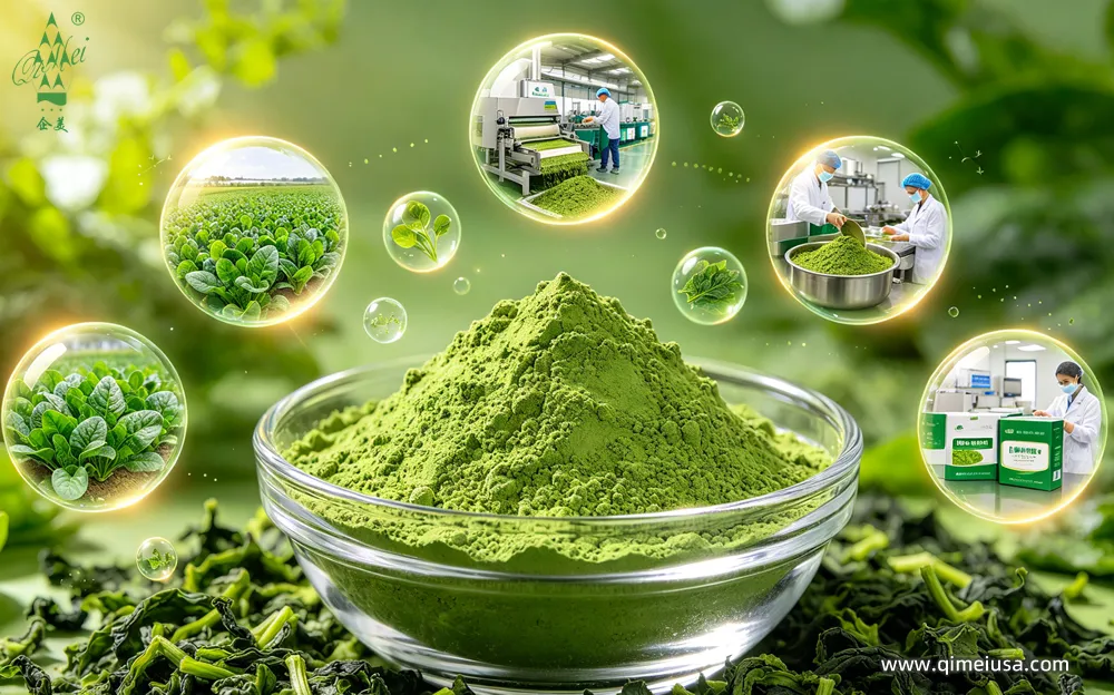 Organic Spinach Powder – A Green Superfood Ingredient for Smoothies, Supplements, and Clean-Label Foods