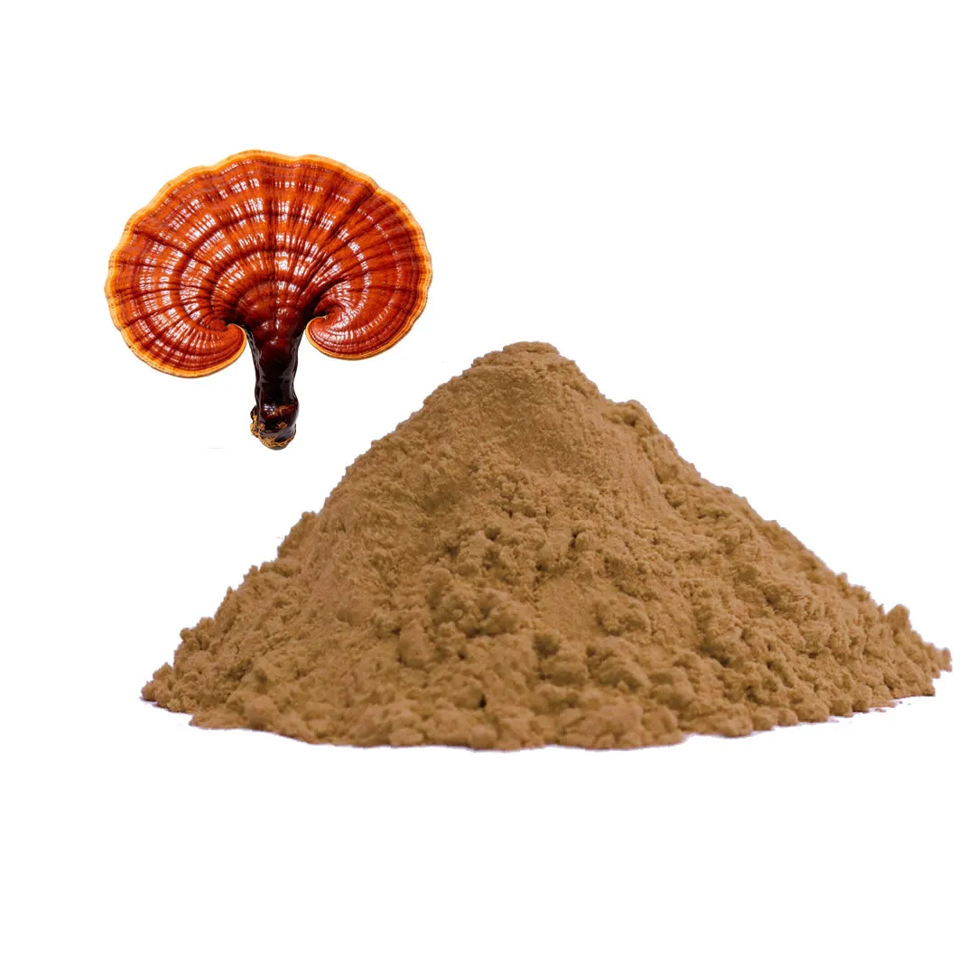 Organic Reishi Mushroom Powder