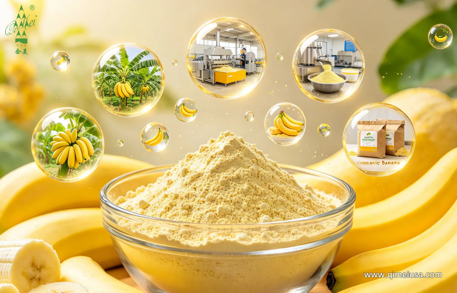 Organic Banana Juice Powder – A Clean-Label Fruit Ingredient for Beverages, Bakery, and Functional Foods